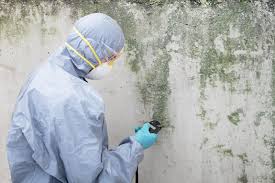 Best Residential Mold Inspection & Testing  in Glendora, NJ